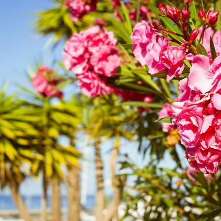 Parque Santiago Ii Playa Las Americas Апартаменты